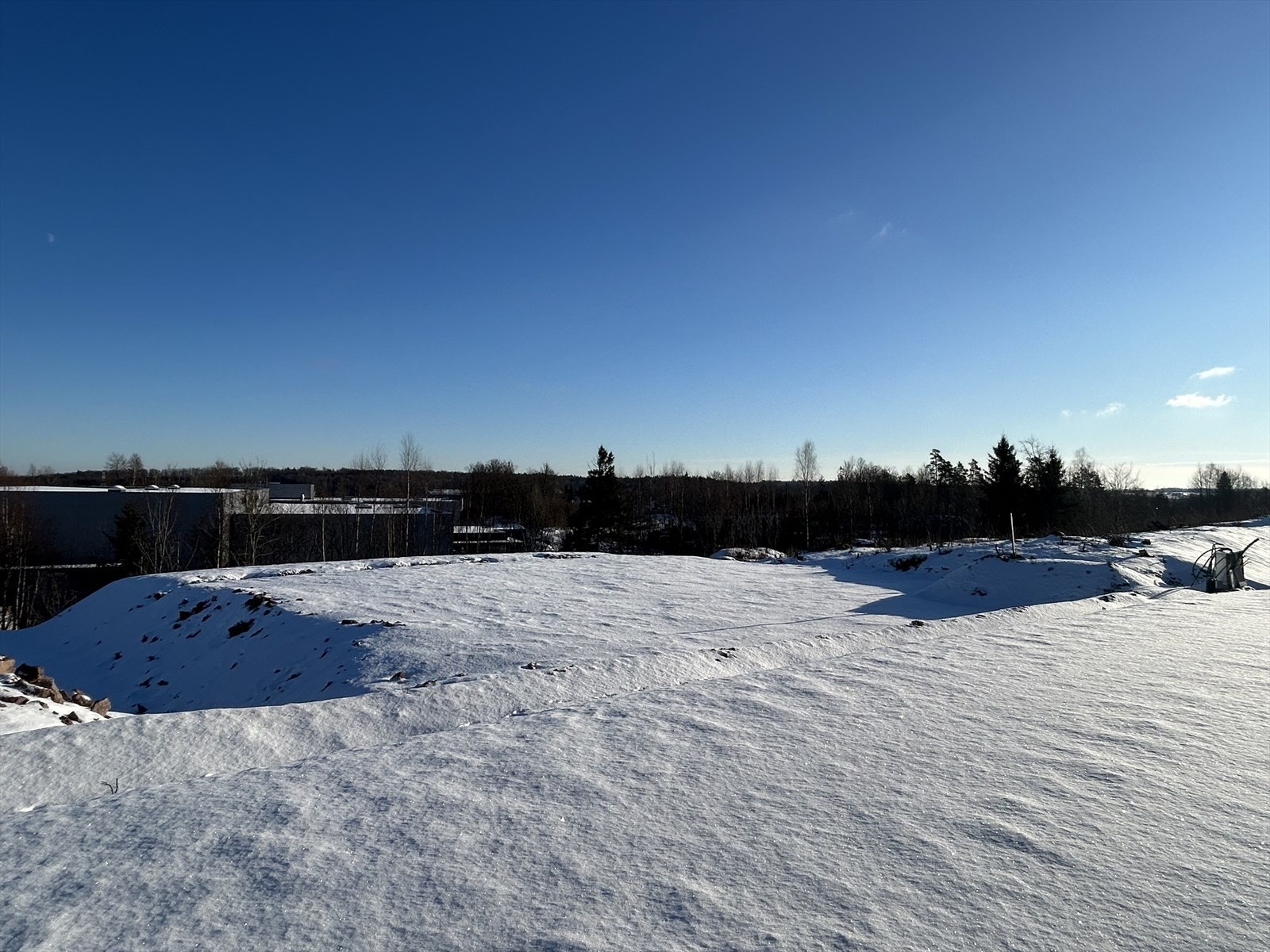 Tomten sett fra vest mot øst, inntil veien nærmest og skrånende mot trærne i bakkant Galleribilde