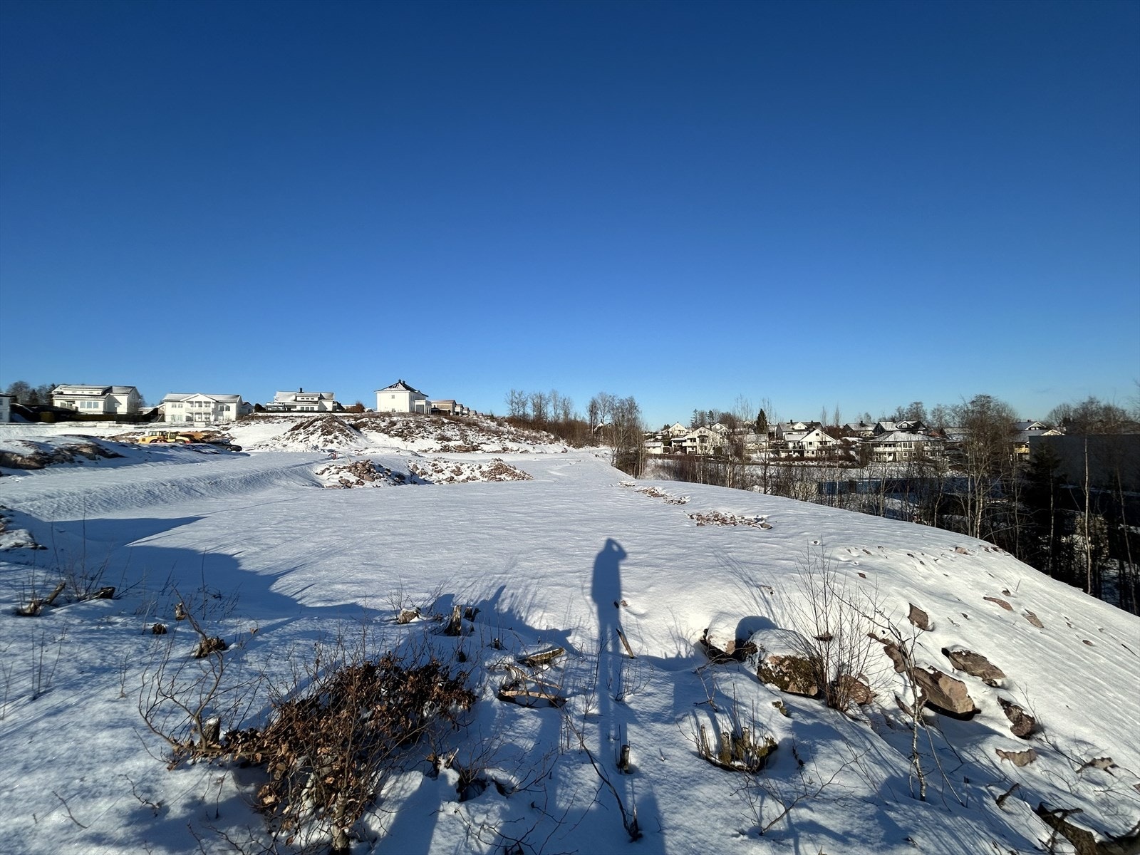 Tomten sett fra sør Galleribilde