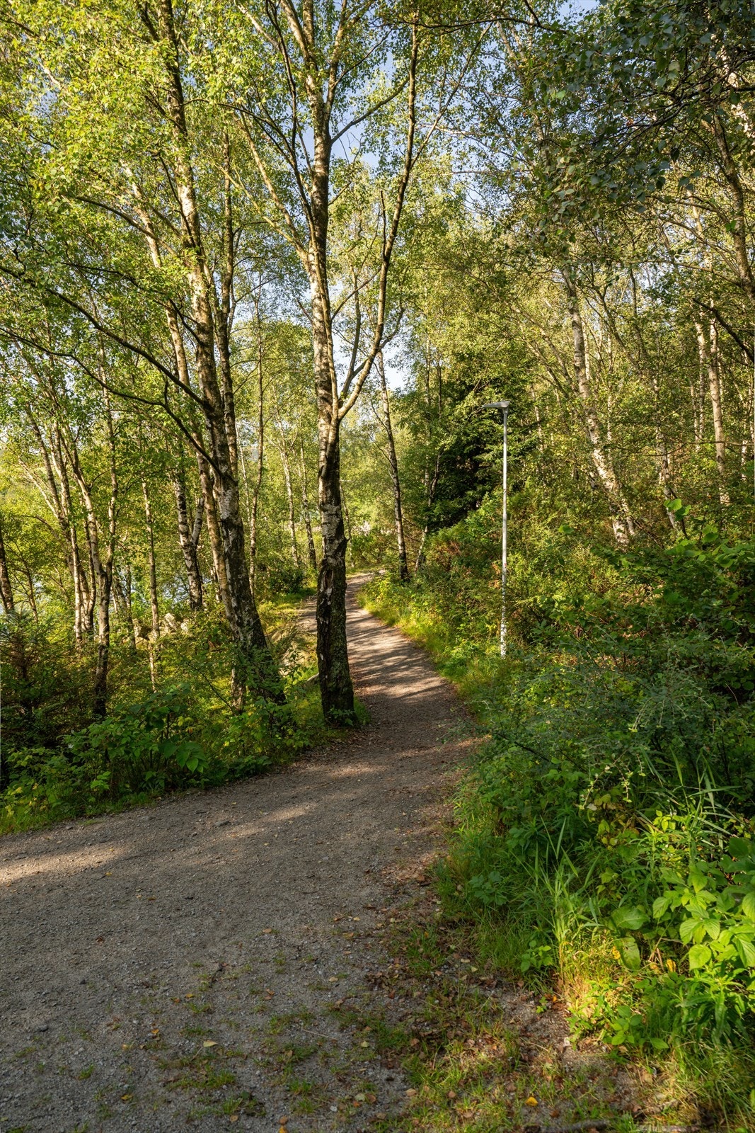 Turveier finnes like utenfor egen dør og strekker seg i flere retninger. Galleribilde