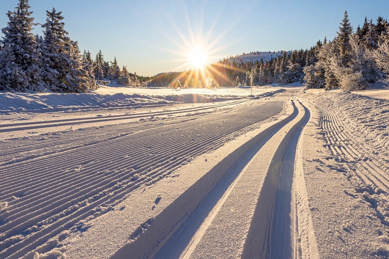 Milevis med langrennsmuligheter i tregrensa og på høyfjellet Galleribilde