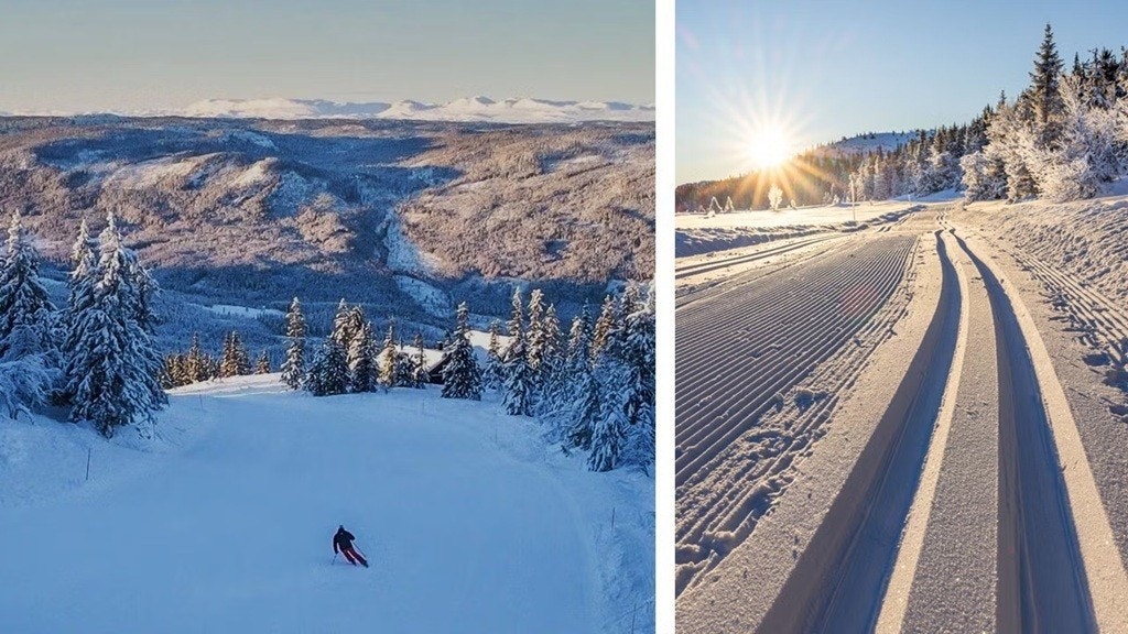Kort vei til både alpint og langrenn fra Seterfeltet Galleribilde