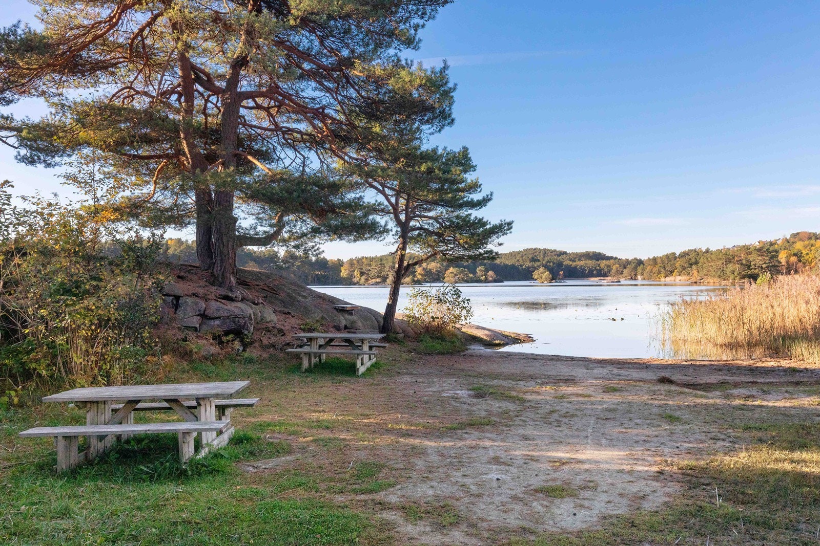 Nærområde. Galleribilde