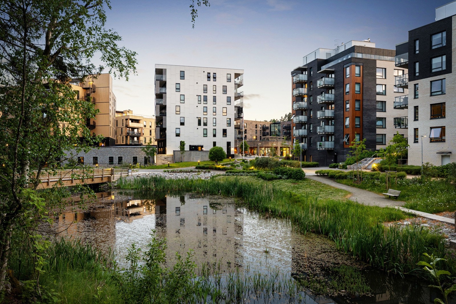 Nærområdet Galleribilde