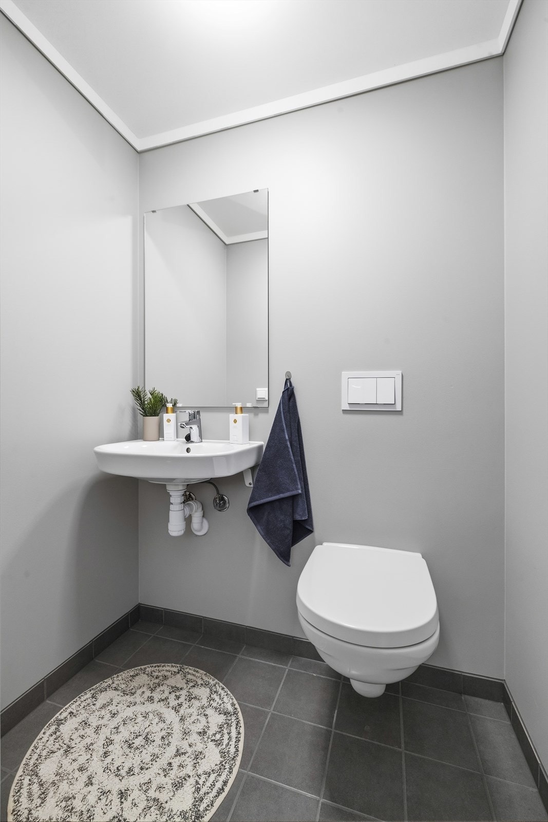 Praktisk toalettrom i tilknytning til entrè, innredet med servant og vegghengt toalett Galleribilde