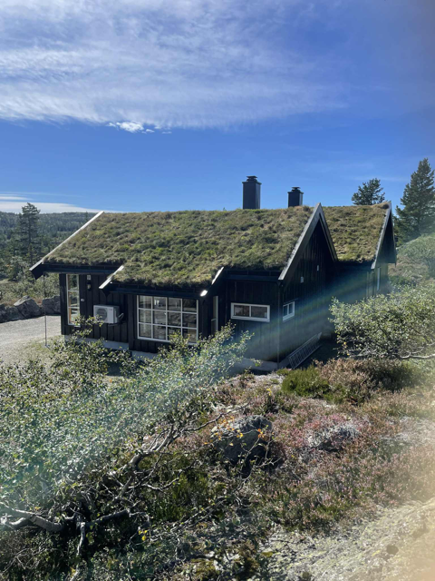 Selgers
egne bilder Galleribilde