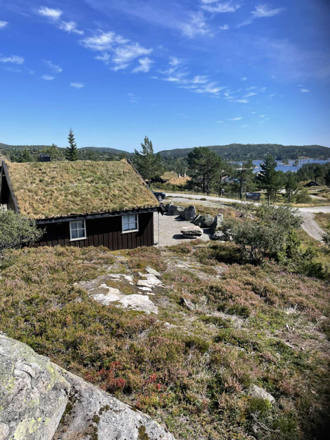 Selgers
egne bilder Galleribilde