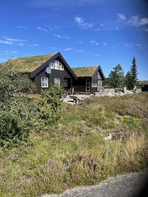 Selgers
egne bilder Galleribilde