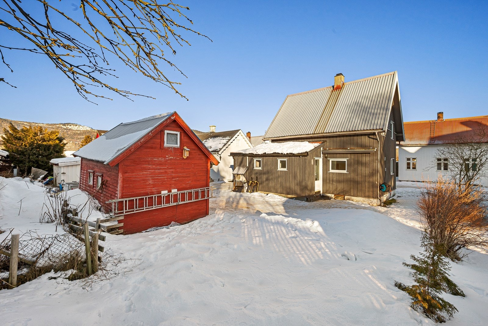 Sørvendt uteområde og hage som er solrik Galleribilde