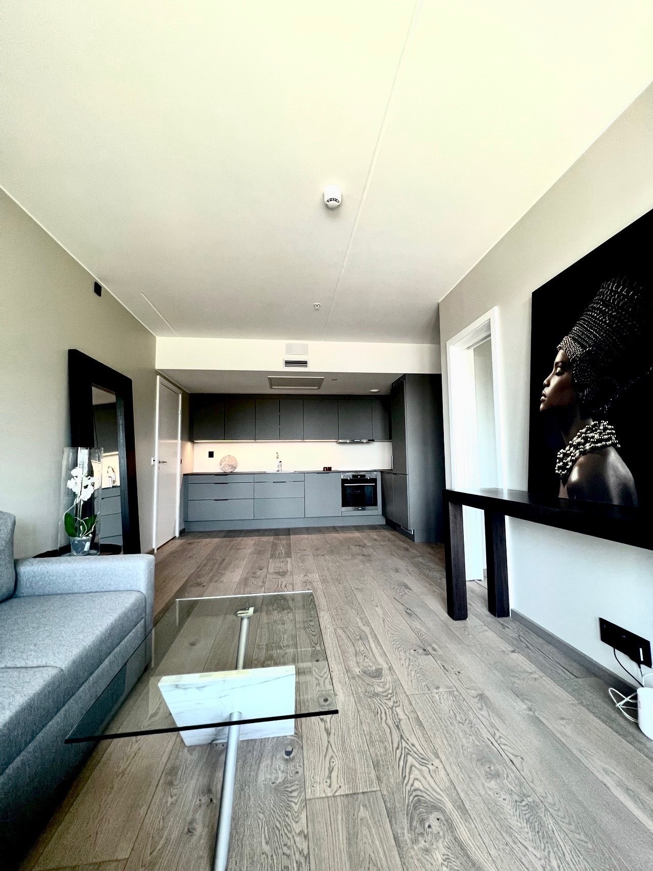 Romslig møblert stue. Galleribilde