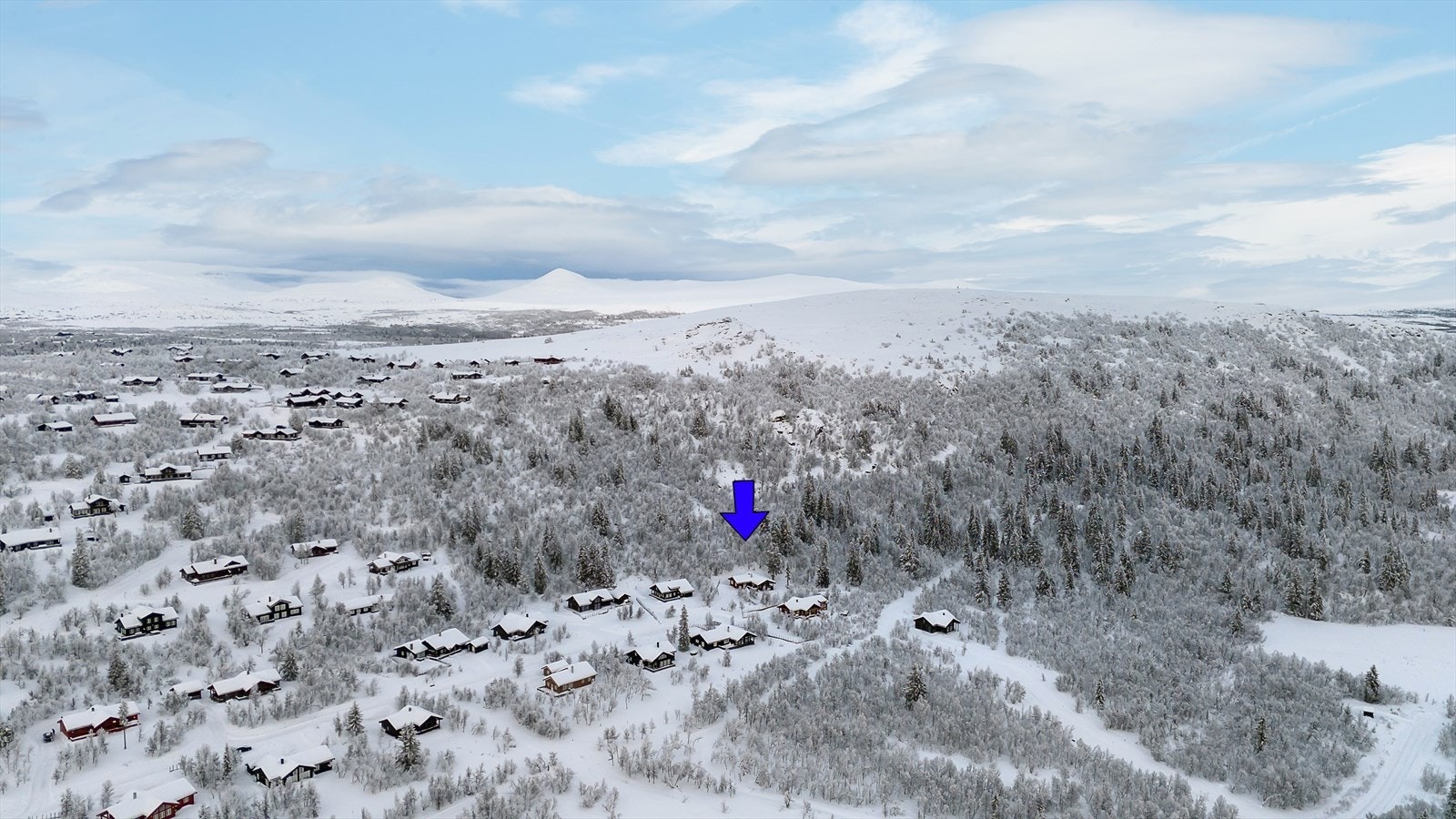 Dronefoto Galleribilde