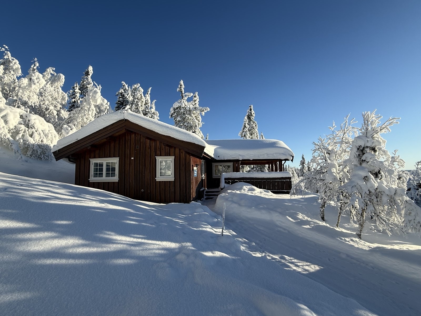Venabygdsfjellet er en flott helårsdestinasjon med flotte turmuligheter både sommer og vinter. Galleribilde