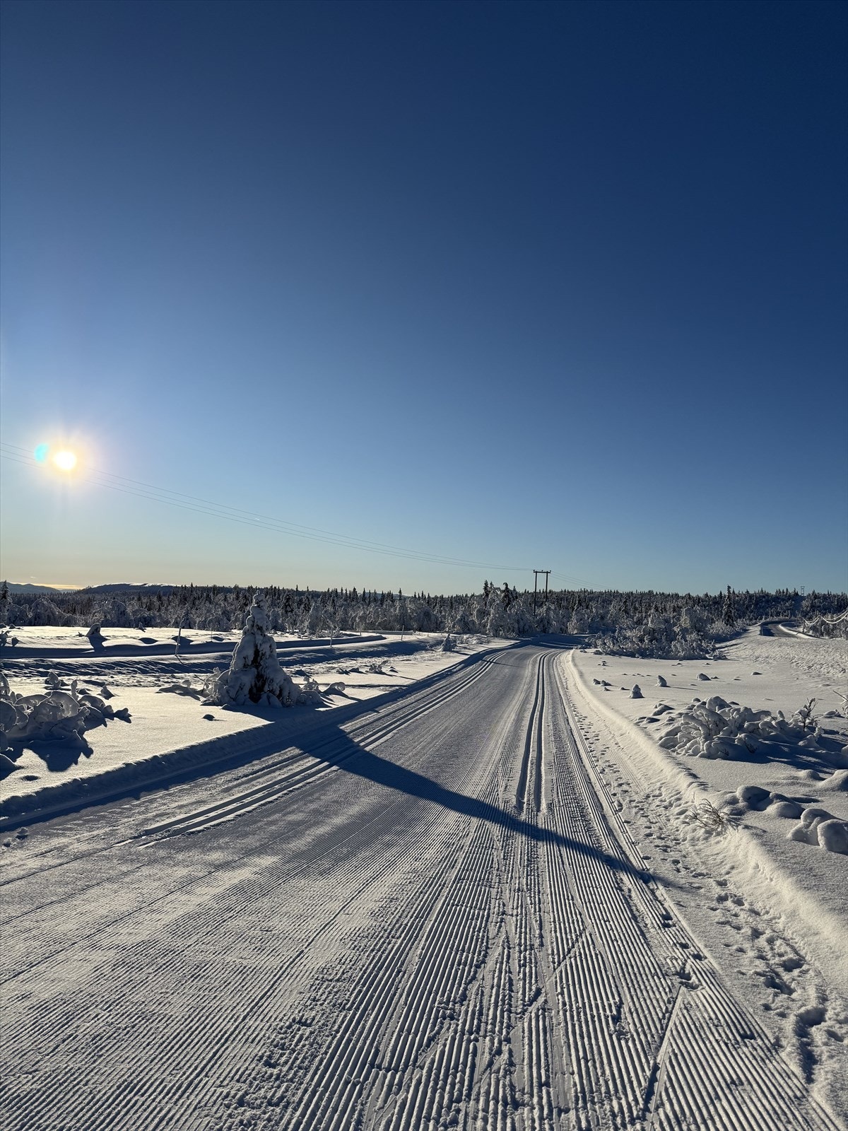 Venabygdsfjellet byr på flotte skiløyper med et godt løypenett. Galleribilde