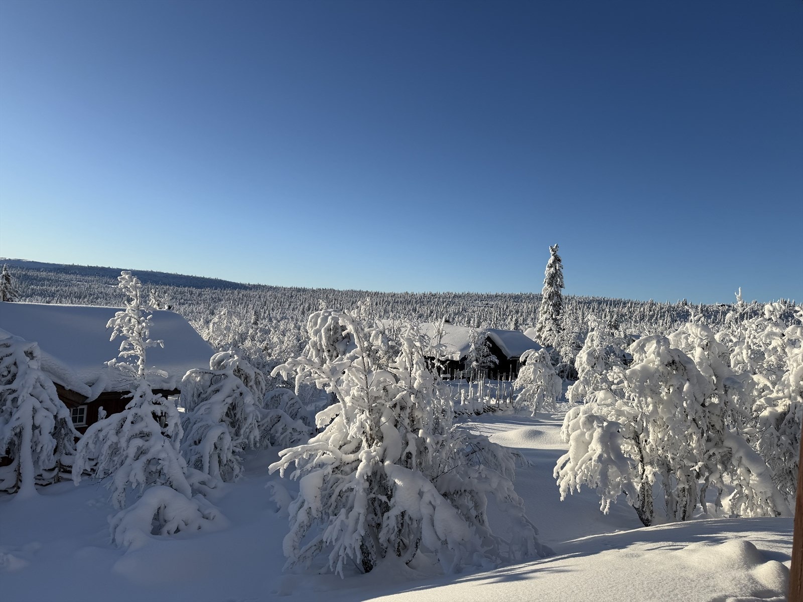 Utsikt fra eiendommen. Galleribilde