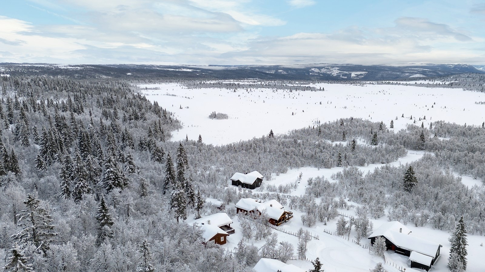 Dronefoto Galleribilde