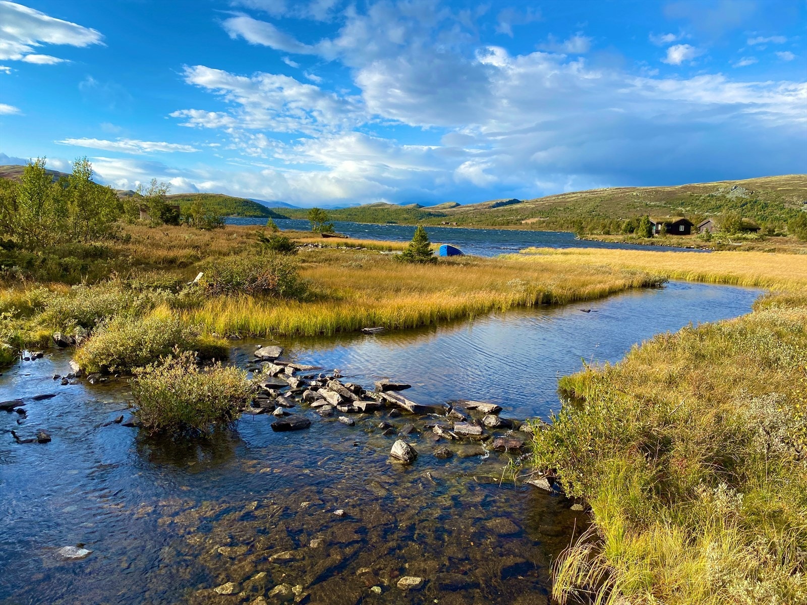 Områdebilde fra Venabygdsfjellet. Galleribilde