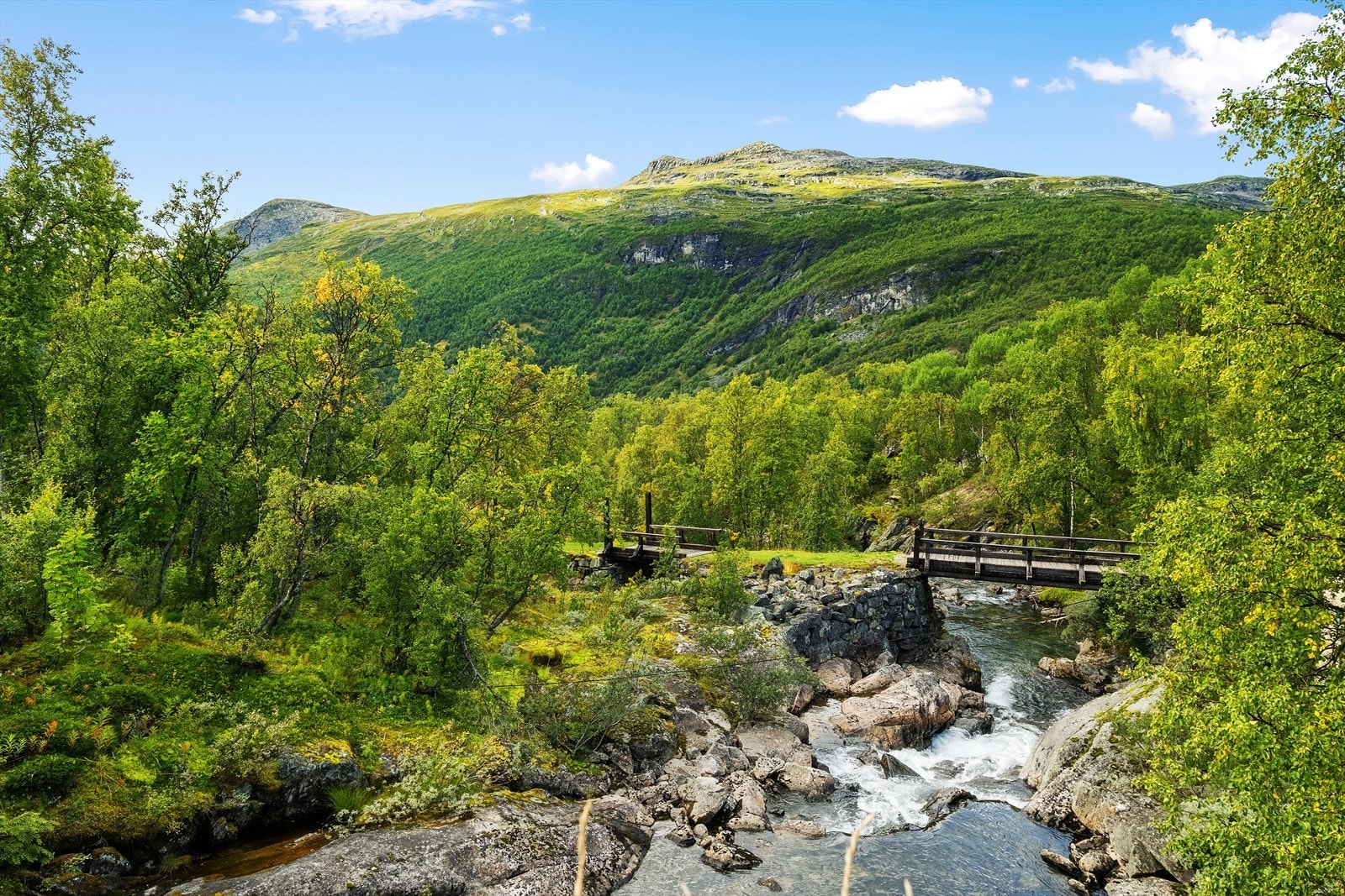 I nærområdet har ein mange flotte turar, sommar som vinter. Galleribilde