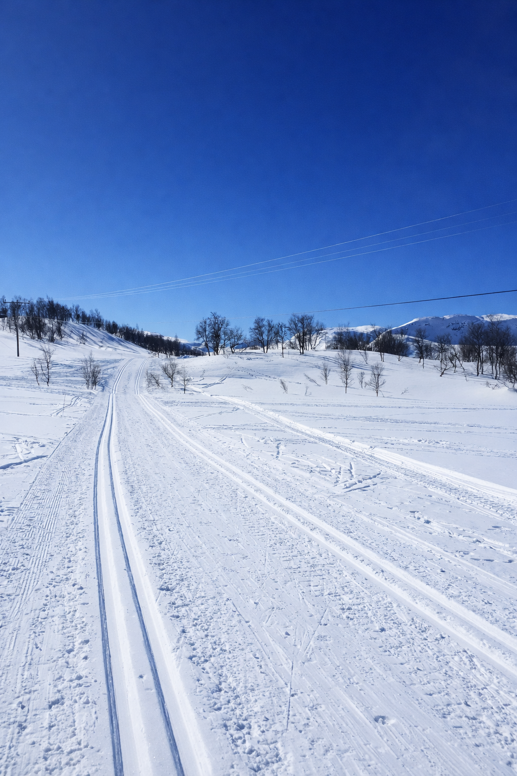 (privat bilde) Galleribilde