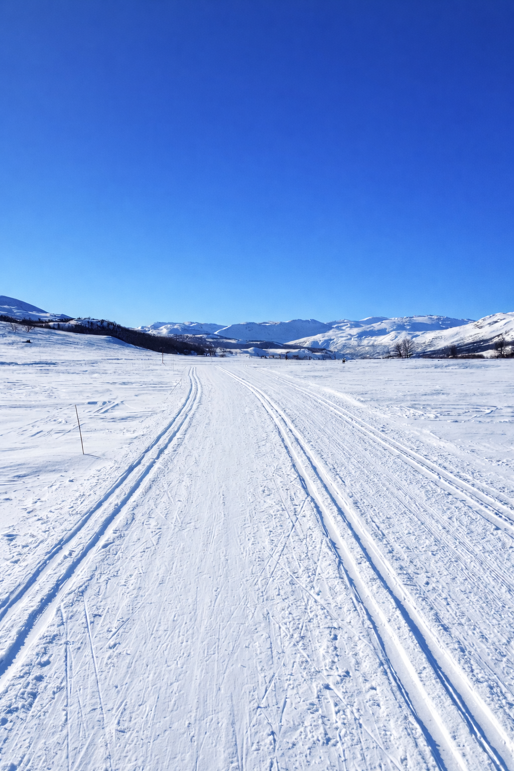 Like fint sommar som vinter. (privat bilde) Galleribilde