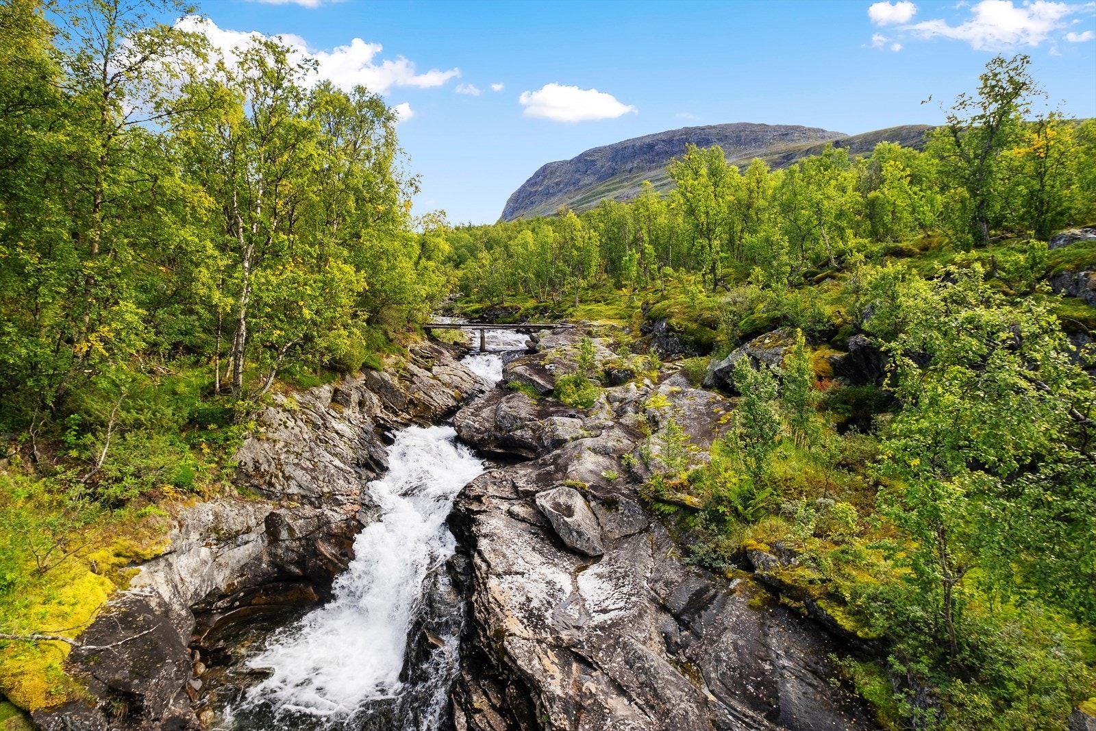 Nærområde med utsikt mot Suletinden. Galleribilde