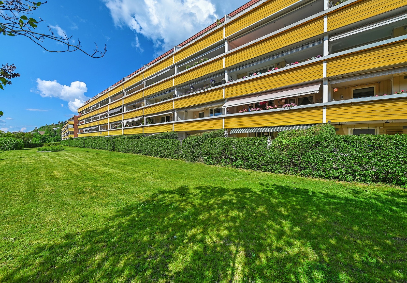 Sommer i Refsnesalleen 19 Galleribilde