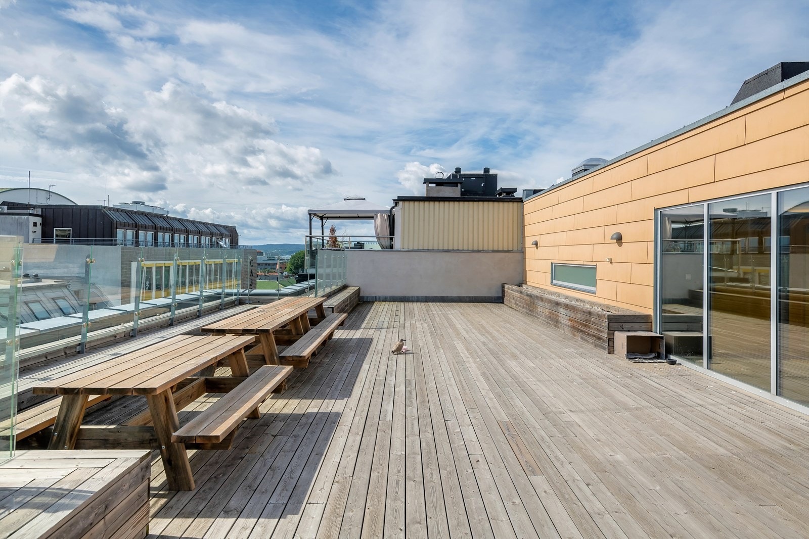 Stor felles takterrasse med flotte sol- og utsiktsforhold. Galleribilde