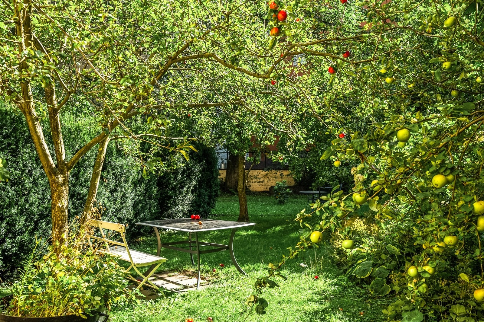Bakgården er pent opparbeidet med beplatning og tilrettelagt sitteområde. Galleribilde