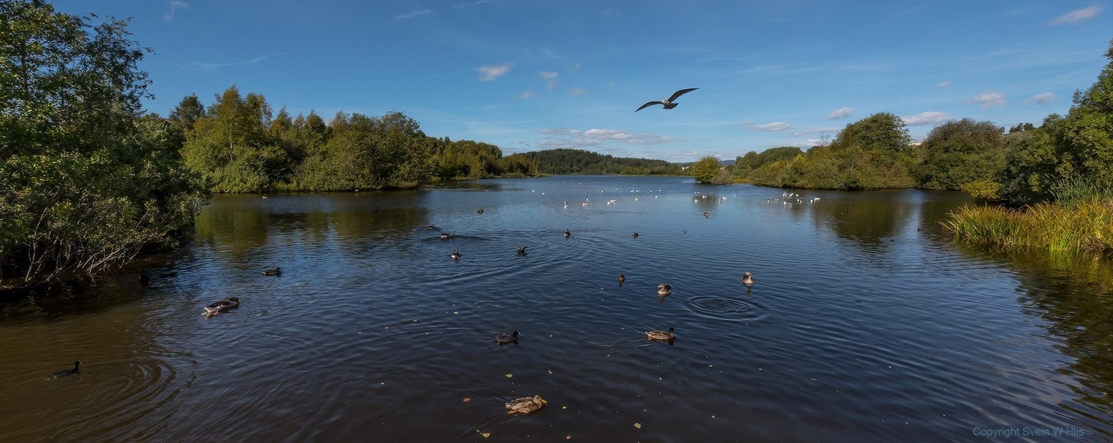 Østensjøvannet, et viktig naturreservat, er en populær destinasjon for turer og fugletitting. Galleribilde