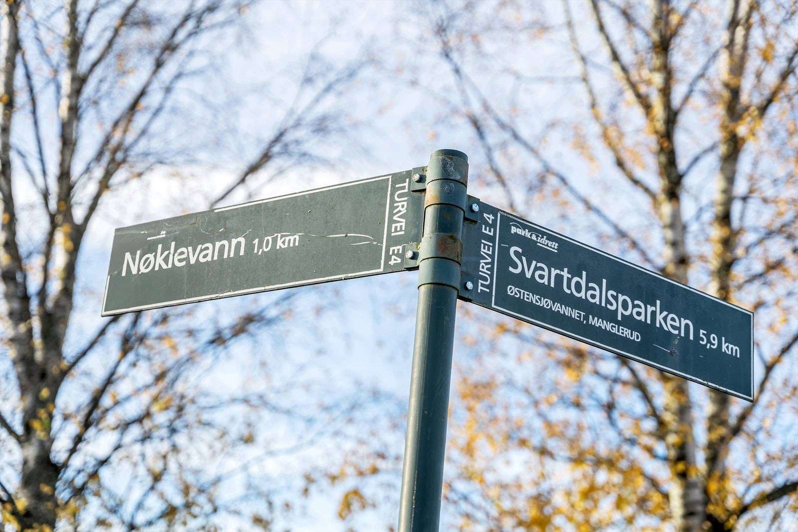 Med turstier til Nøklevann og Østmarka rett i nærheten, er det rike muligheter for friluftsliv. Galleribilde