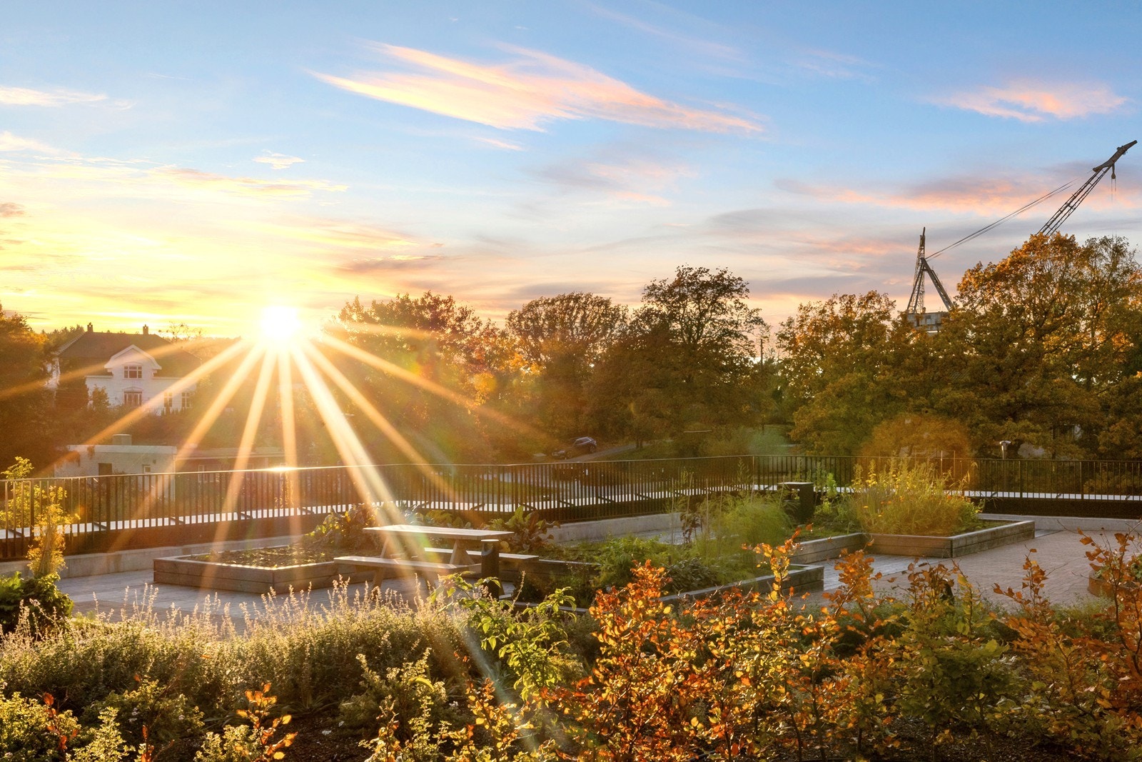 Grønne og frodige fellesområder skaper et trivelig bomiljø. Galleribilde