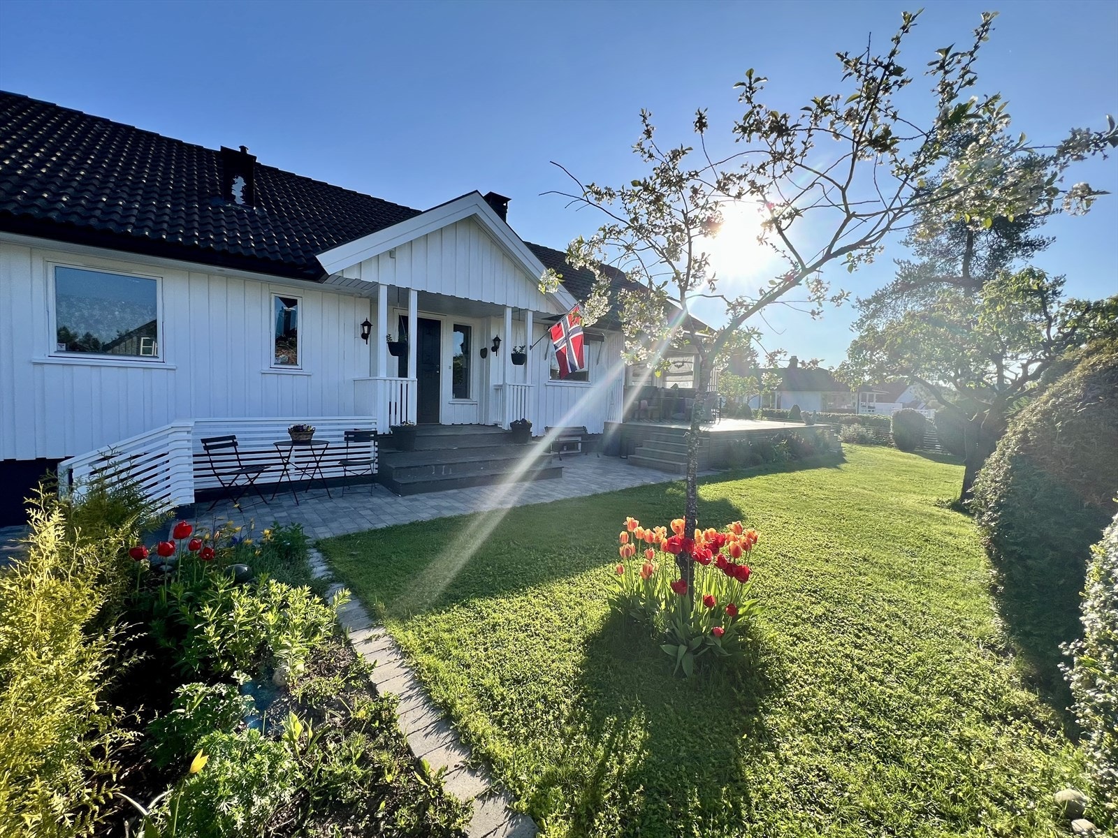 Sommerbilde fra selger Galleribilde