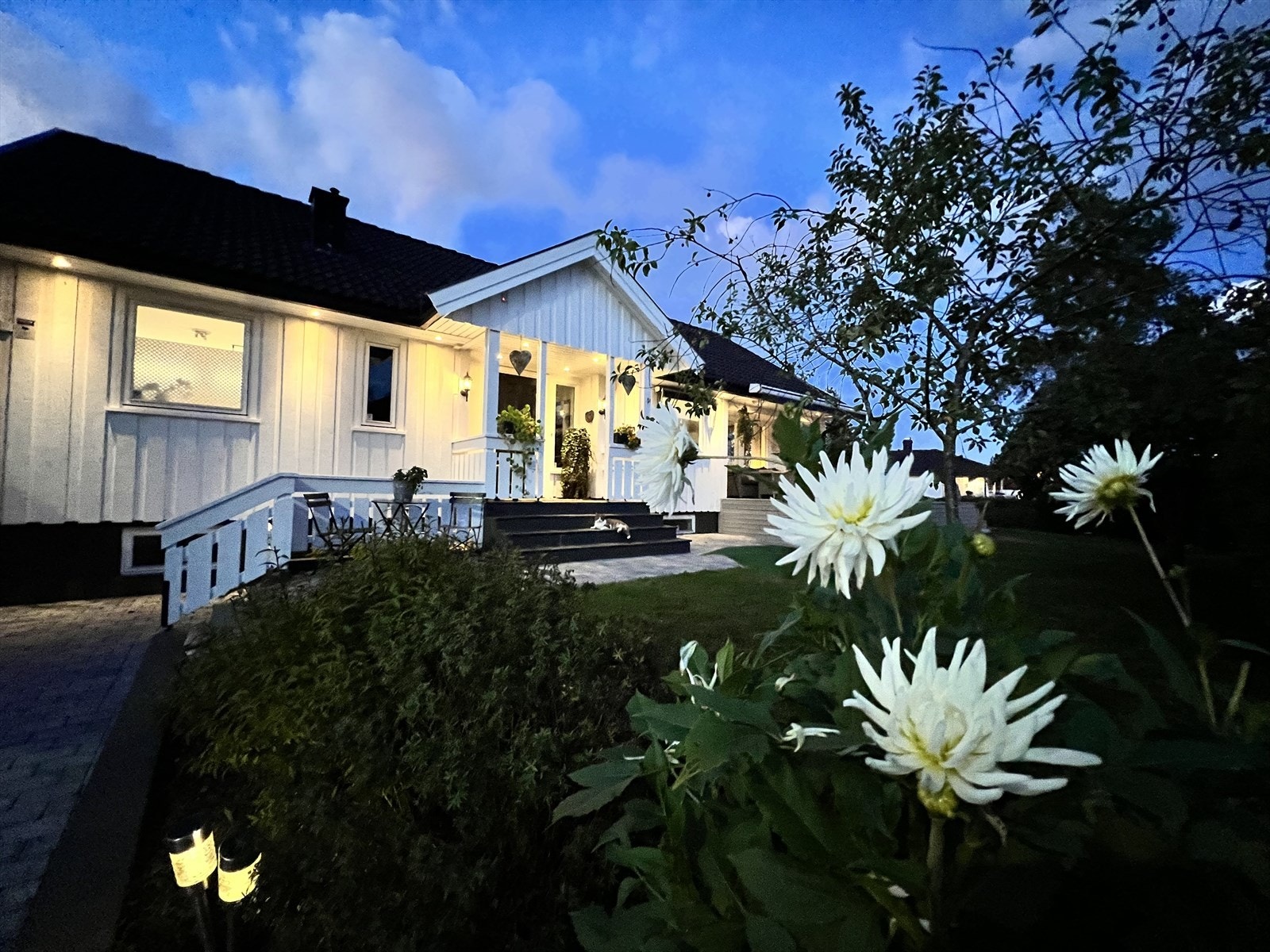 Sommerbilde fra selger Galleribilde