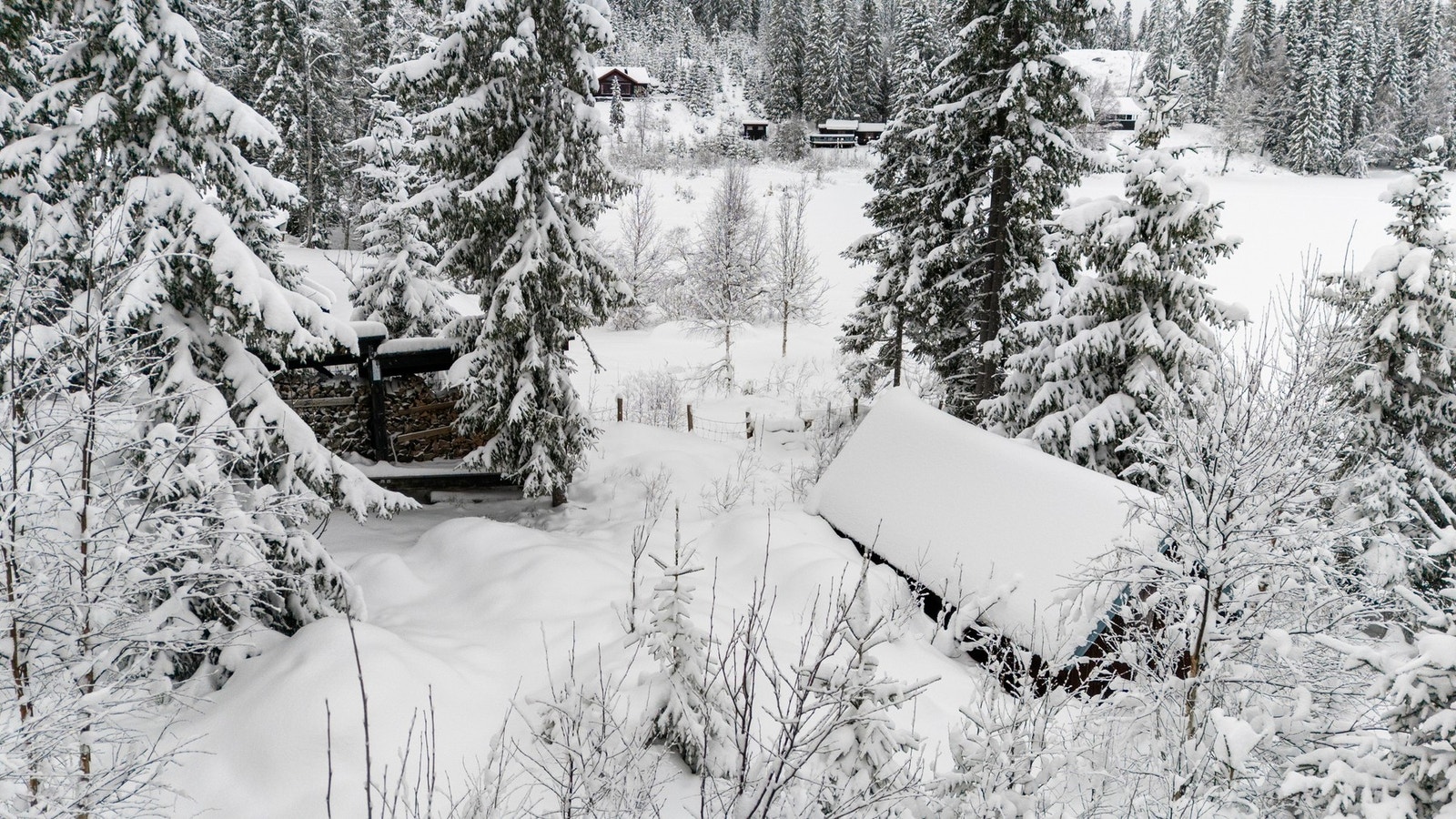 Tomten består av naturlig vegetasjon og fremstår meget skjermet Galleribilde