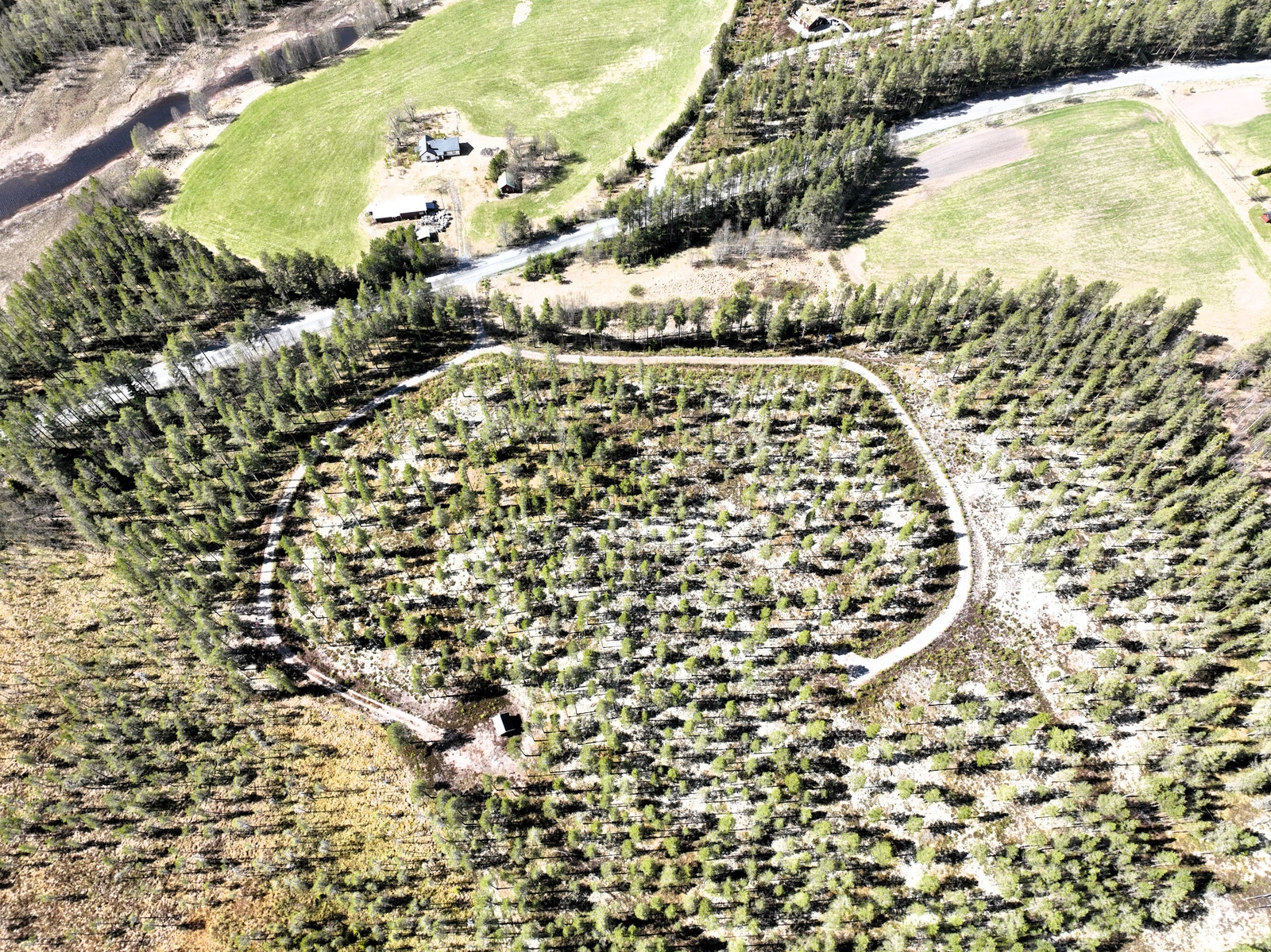 Dronebilde - øvre felt Galleribilde