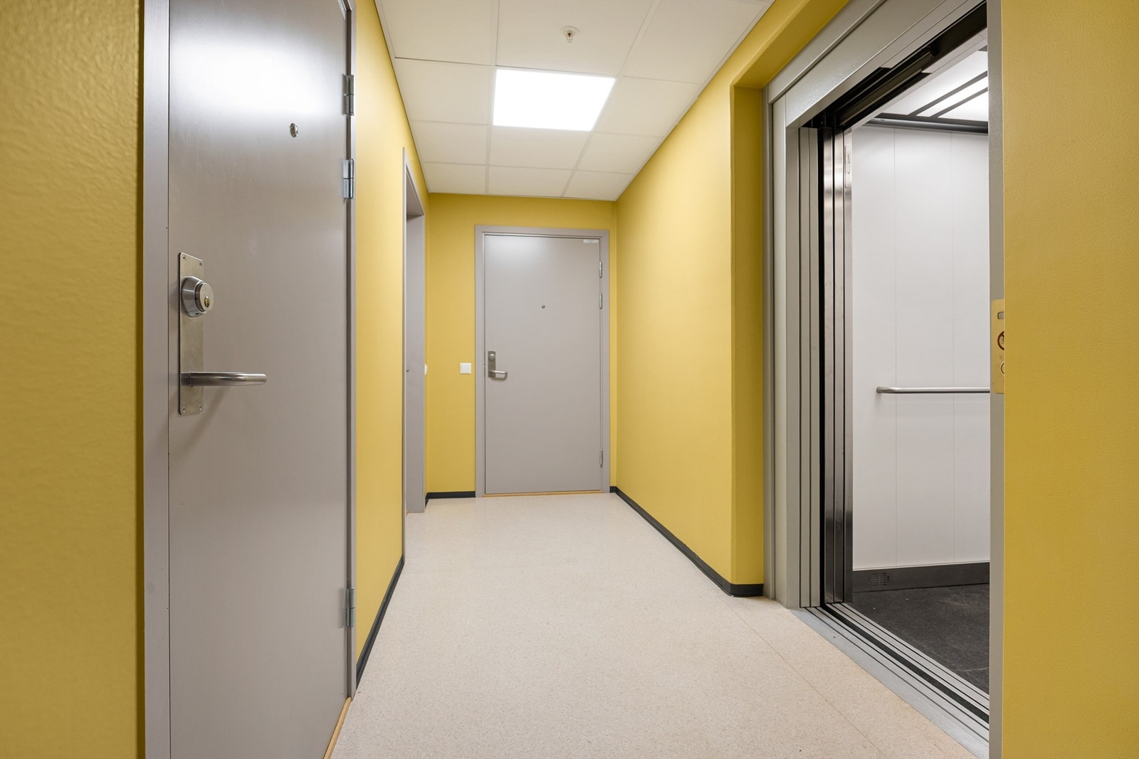 Fellesareal utenfor leiligheten. Trappefri adkomst med heis. Galleribilde