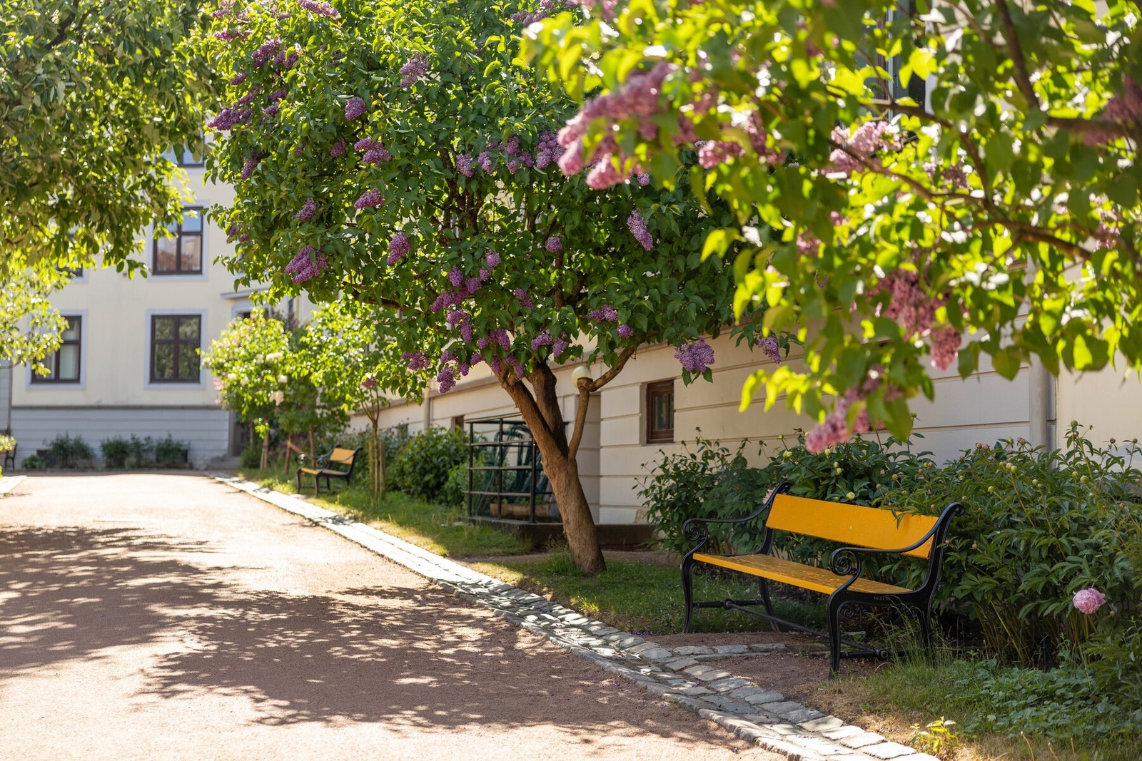 Adgang til en vakker bakgårdspark med store grøntarealer. Galleribilde