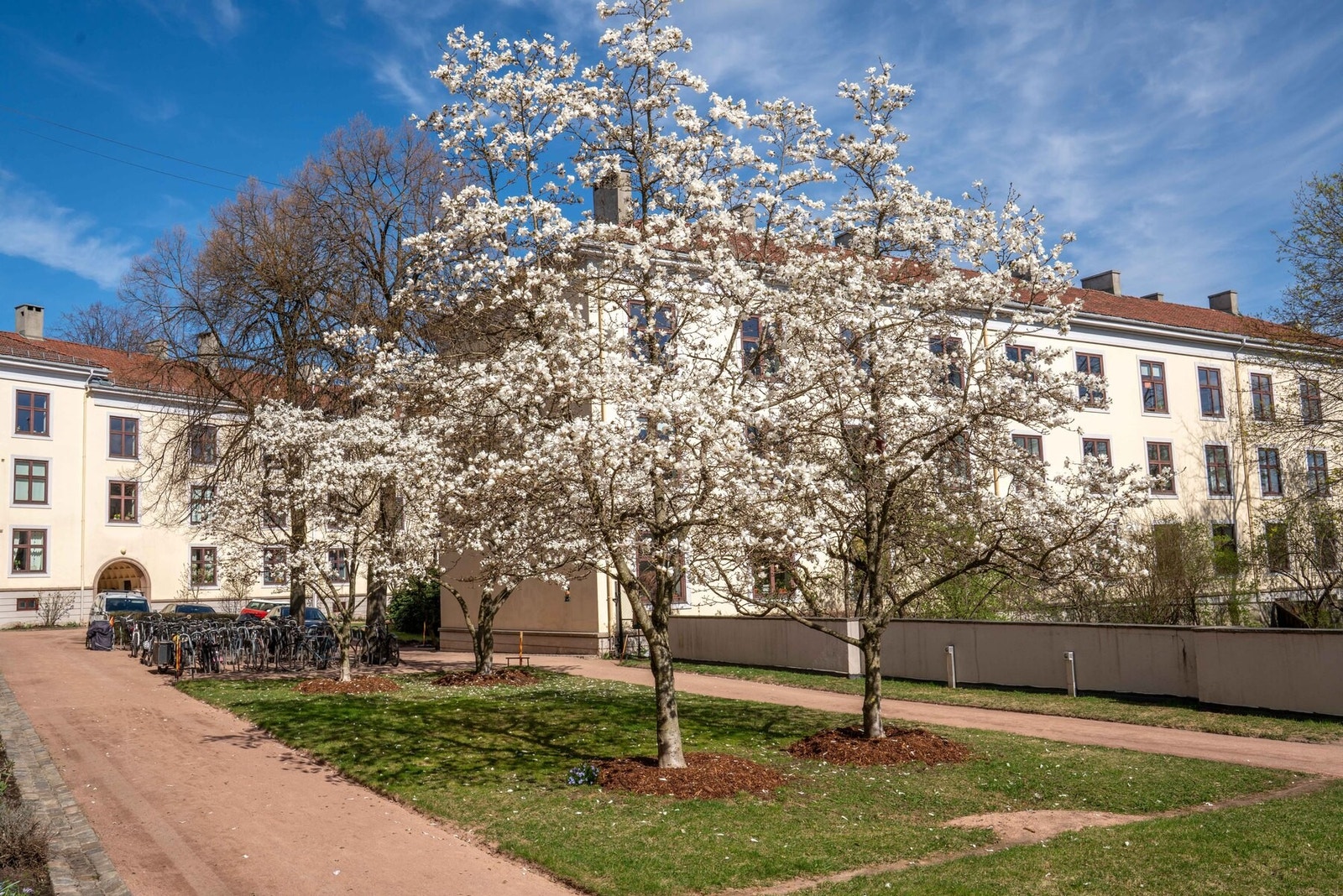 Fantastiske fellesarealer med frodig beplantning og supre solforhold. Galleribilde