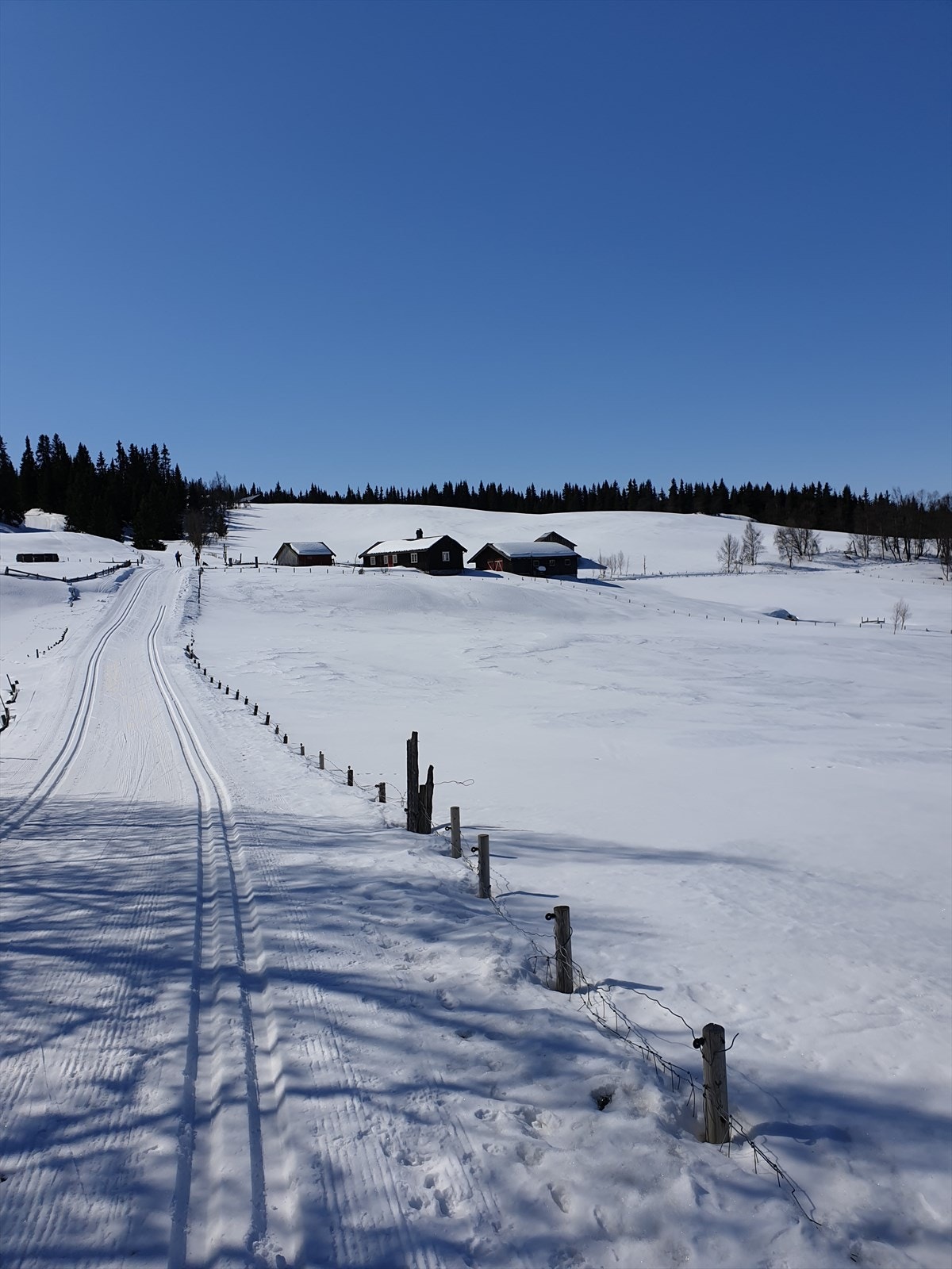 Veslesætra vinter. Galleribilde