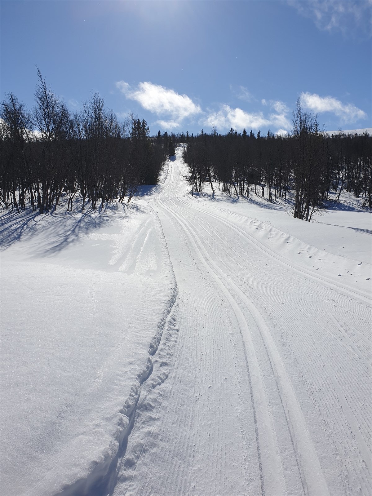 Området er kjent for sitt sikre snøforhold, et godt preparert løypenett og nedfarter i variert terreng. Galleribilde