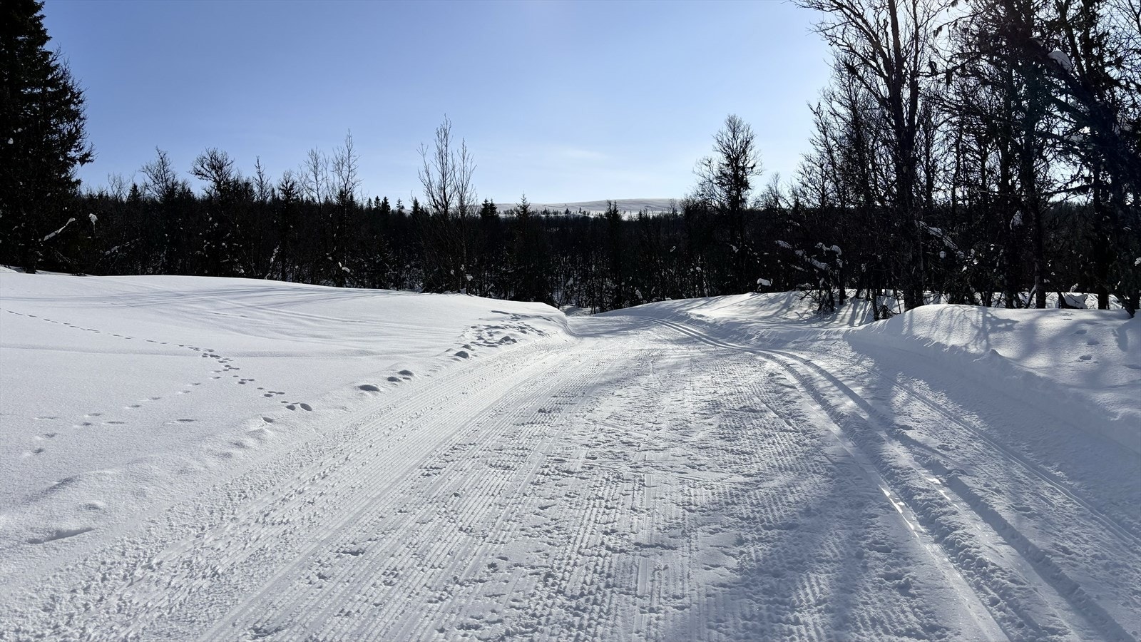 Området er kjent for sitt sikre snøforhold, et godt preparert løypenett og nedfarter i variert terreng. Galleribilde