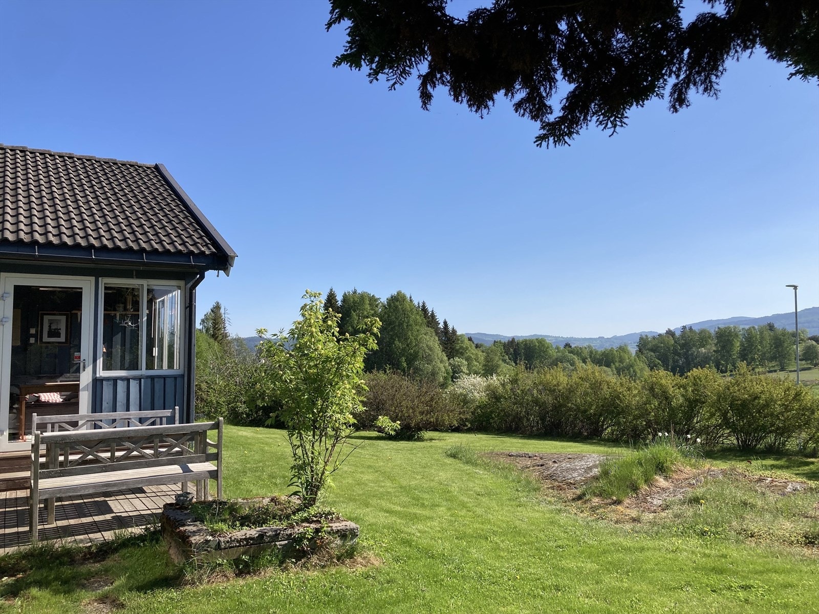 Selgers eget sommerbilde. Galleribilde