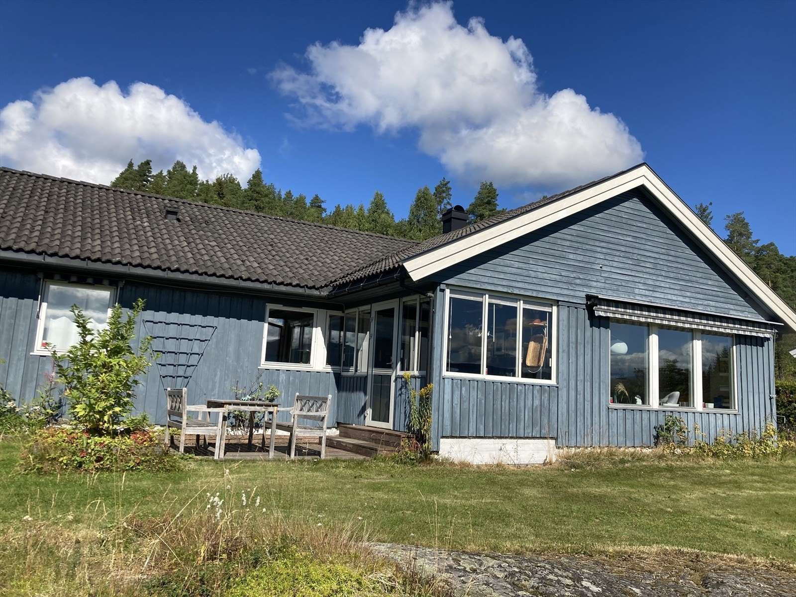 Selgers eget sommerbilde. Galleribilde