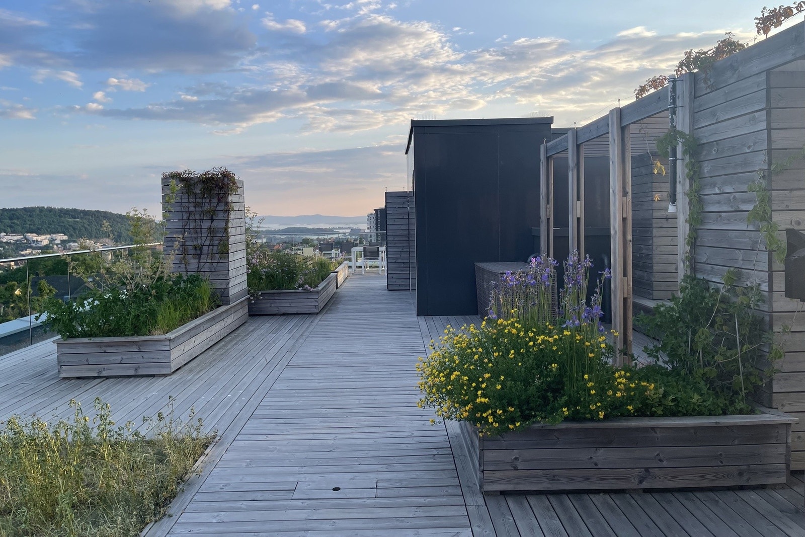 Stor, felles takterrasse med direkte heisadkomst. Galleribilde
