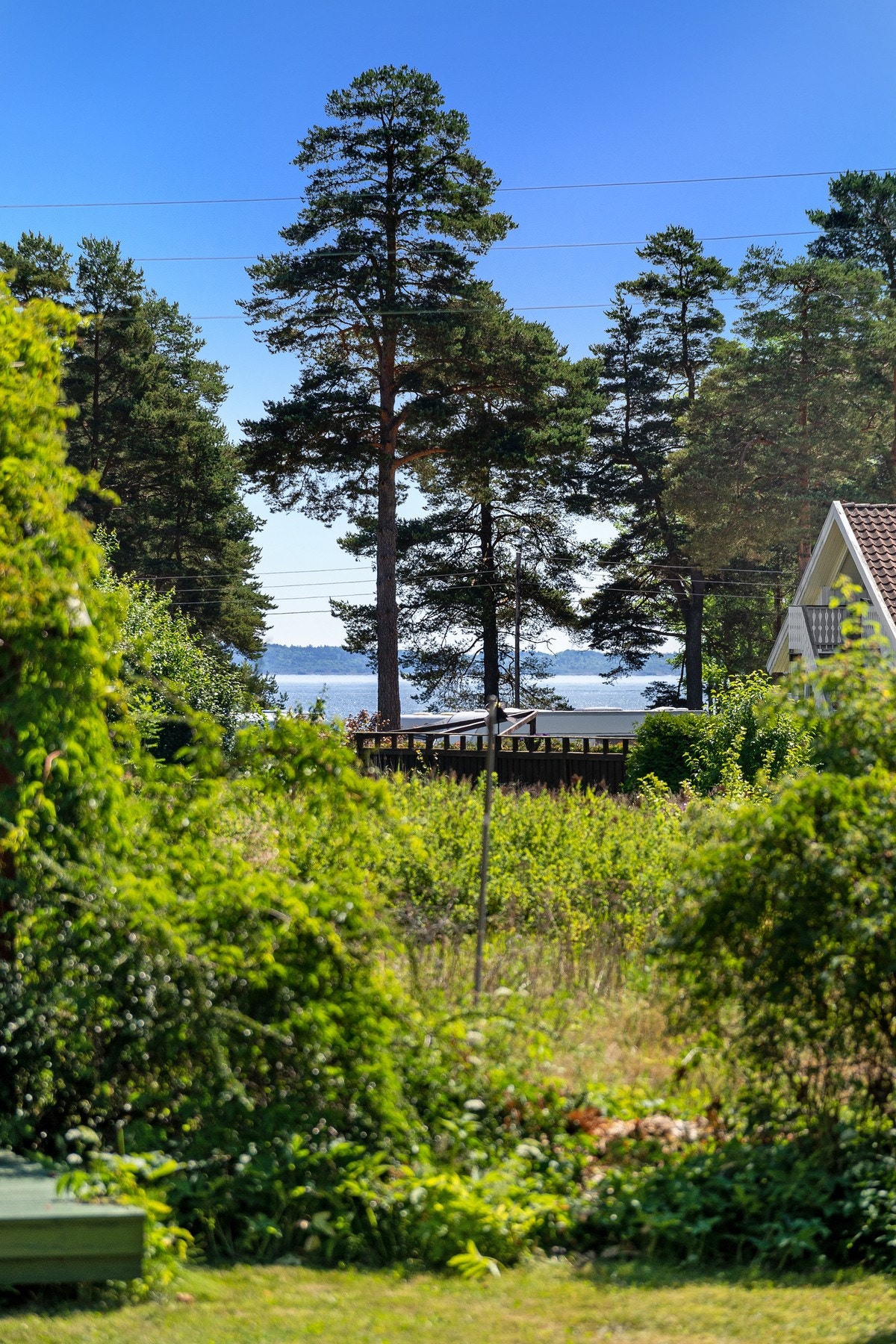 (sommerbilde fra forrige salg) Galleribilde