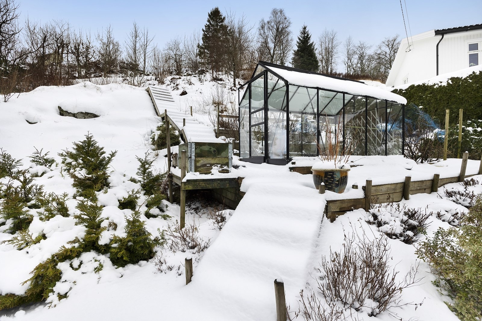 Tomta er fint opparbeidet med plen og fin beplantning Galleribilde