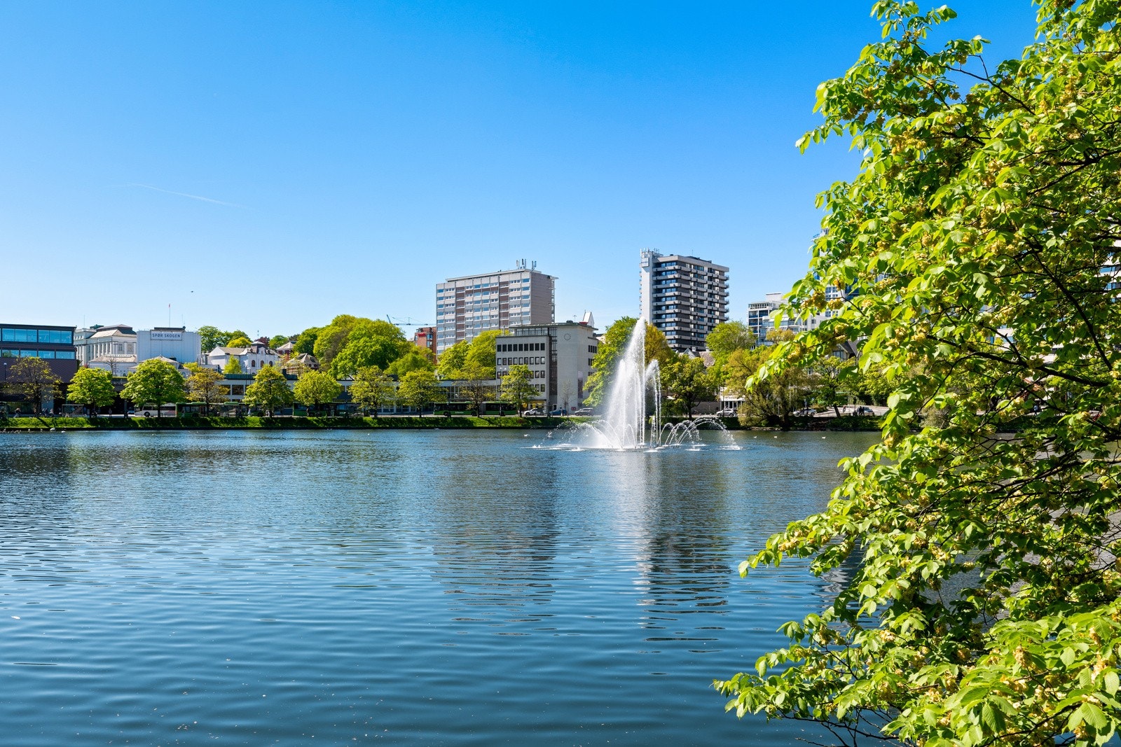 Velkommen til visning! Galleribilde