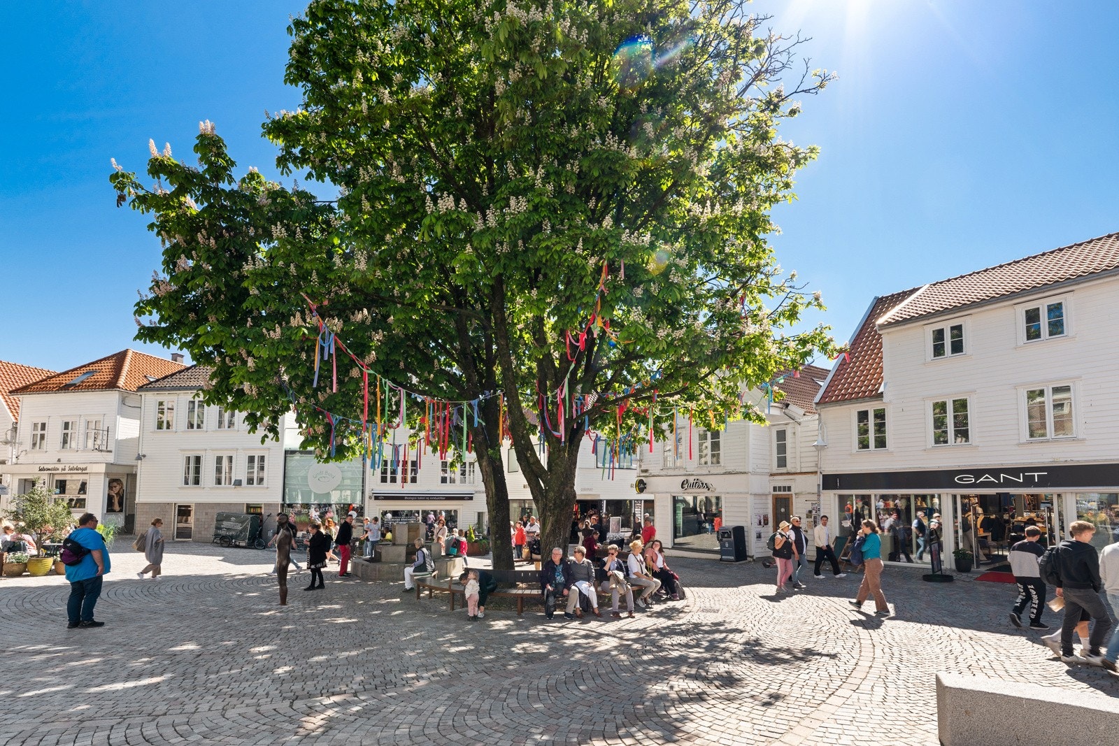 Nærområde. Galleribilde