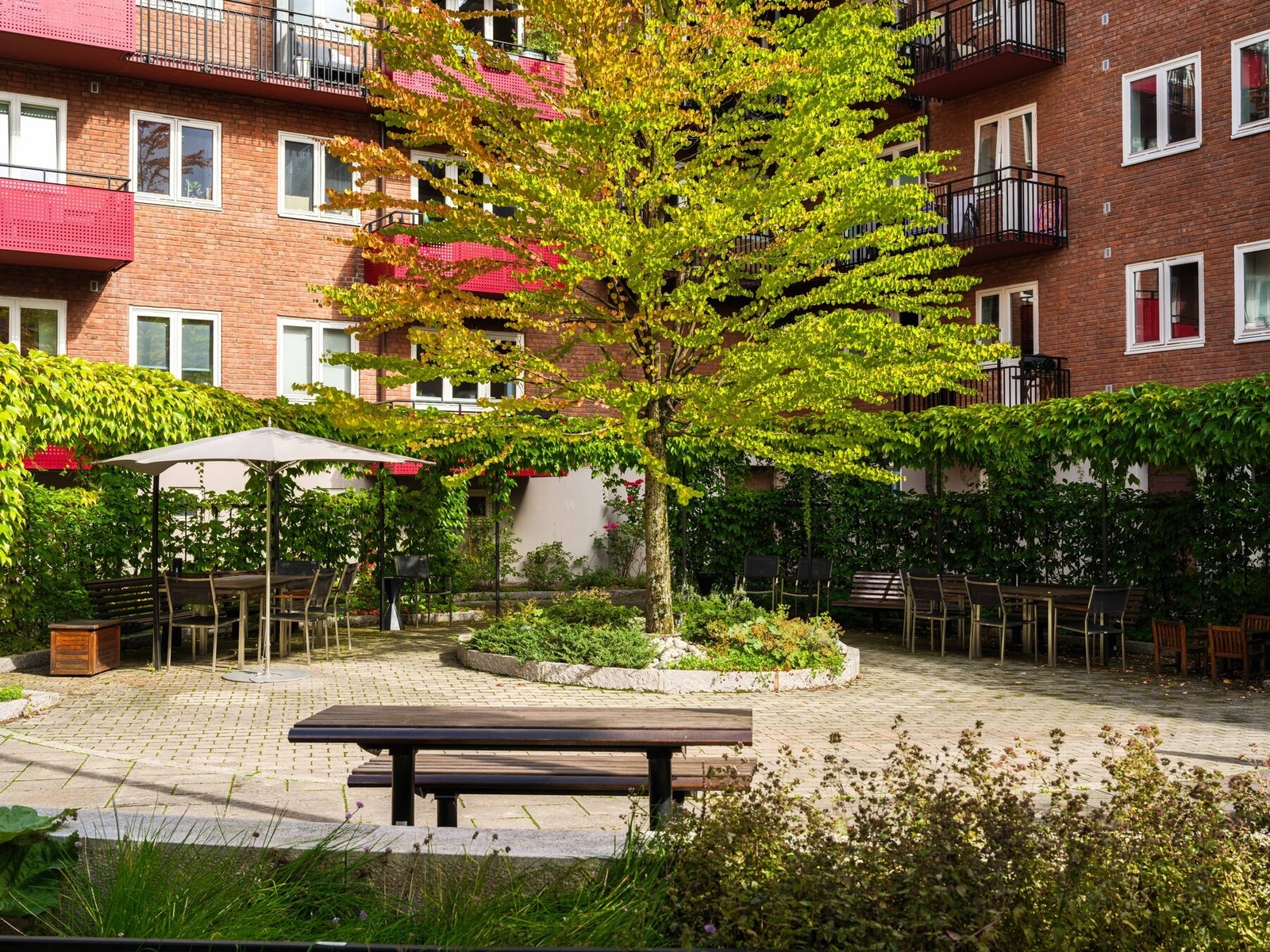 Gårdsplassen ble opprustet i 2008-2009 med asfalterte fortau og gangveier, nye trær og bærbusker. Galleribilde