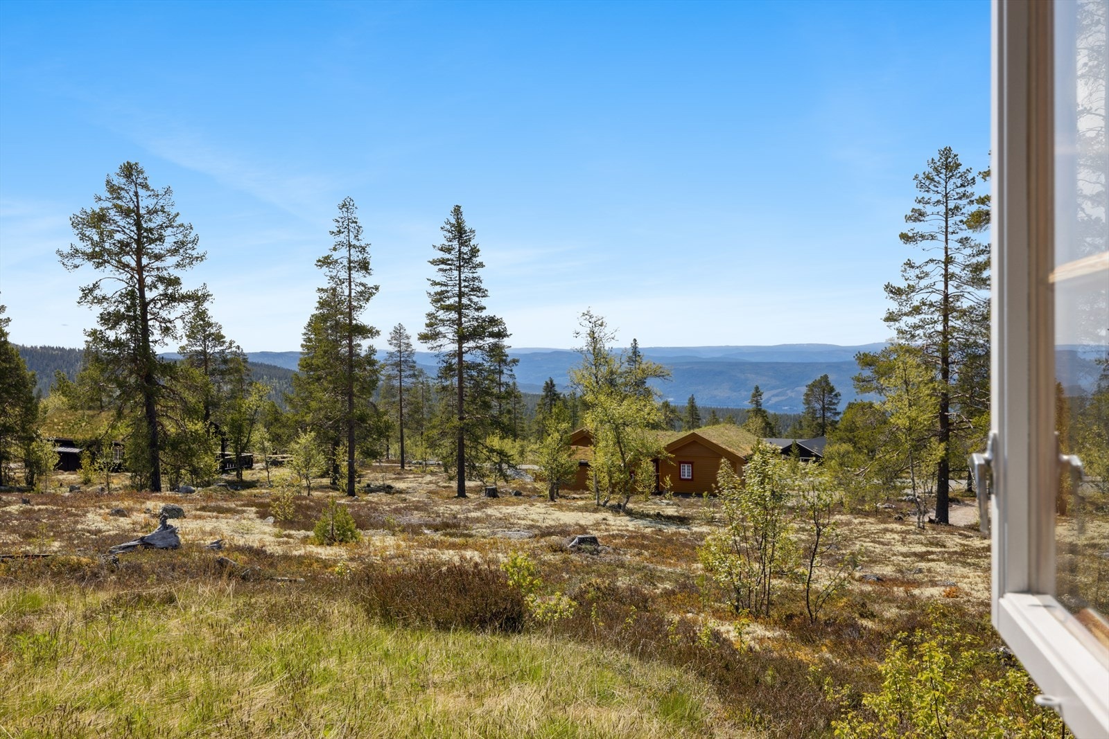 Utsikt. Galleribilde