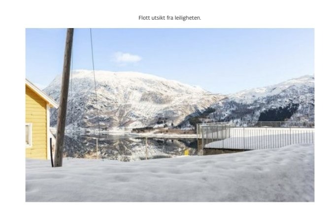 Utsikt fra terrassen Galleribilde