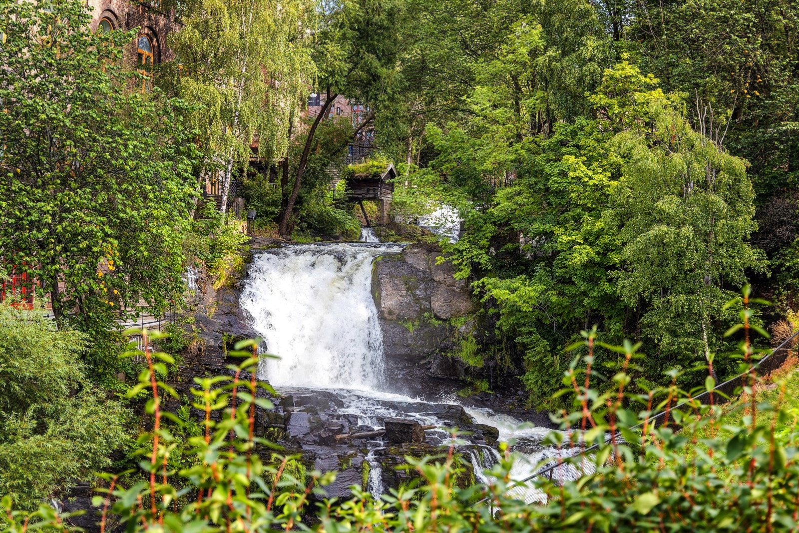 Den åtte kilometer lange turstien langs elven er ideell for gå- og joggeturer. Galleribilde